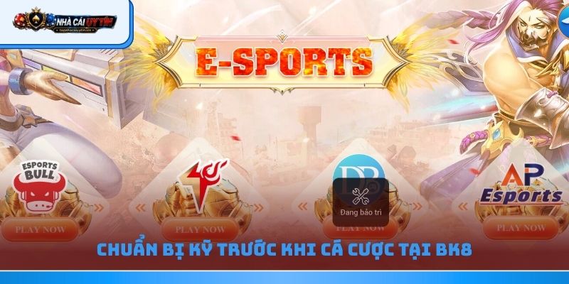 Chuẩn bị kỹ trước khi cá cược tại Bk8